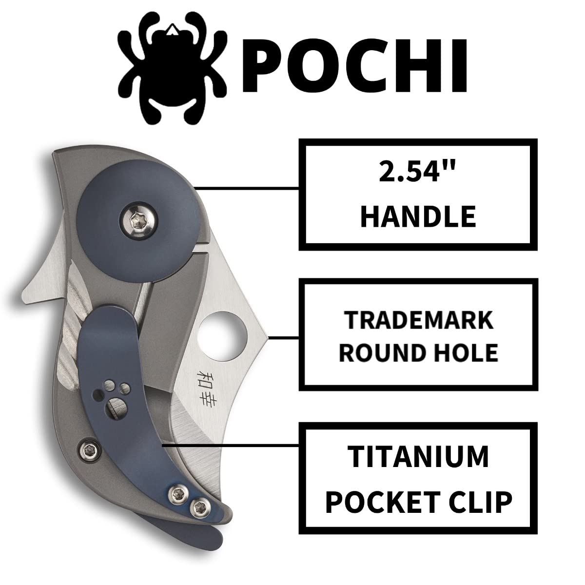 Amazon.com : Spyderco C256TIP Pochi : Sports & Outdoors